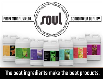 Soul - Professional Yields. Coinnoisseur quality.